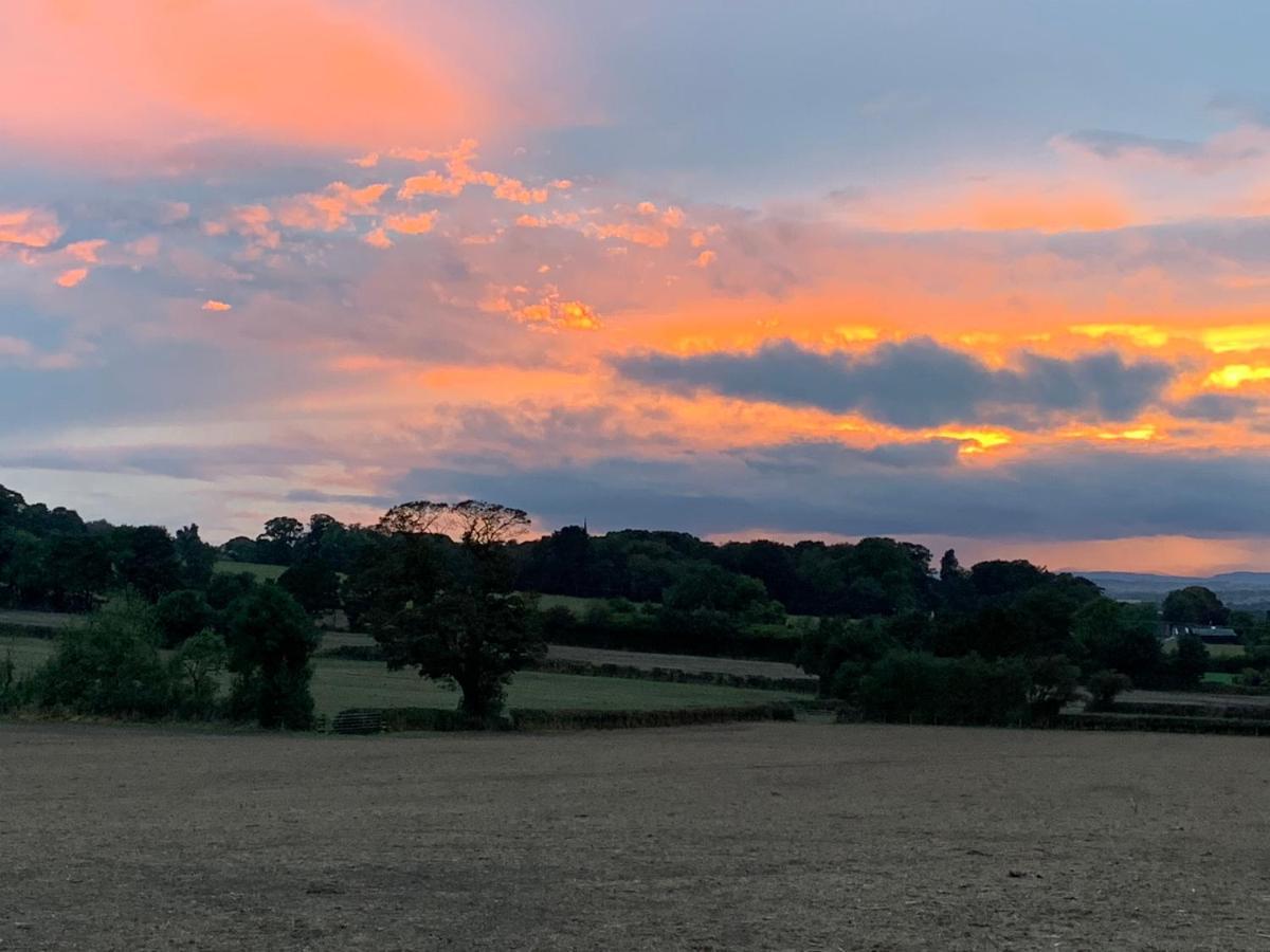 Self-contained Studio in Clive near Shrewsbury Grinshill Esterno foto